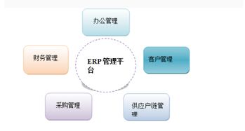 erp系统如何实现,用什么语言